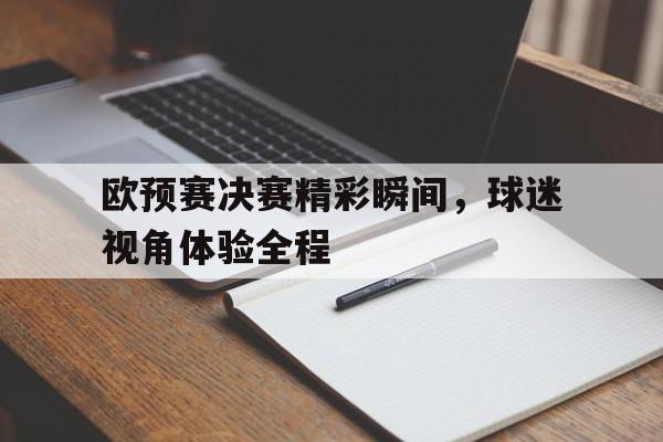 欧预赛决赛精彩瞬间，球迷视角体验全程
