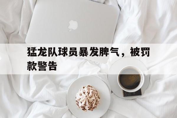 猛龙队球员暴发脾气，被罚款警告