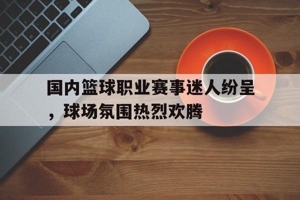 国内篮球职业赛事迷人纷呈，球场氛围热烈欢腾